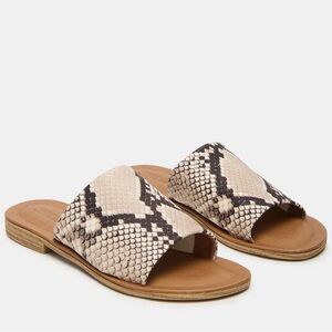 Steve Madden Snake-Print Slide Sandals in Cream and Black- Brand New never worn